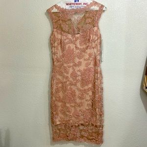 Like new Tadashi Shoji sleeveless dress. Pink with silver stitching.  Size 6.